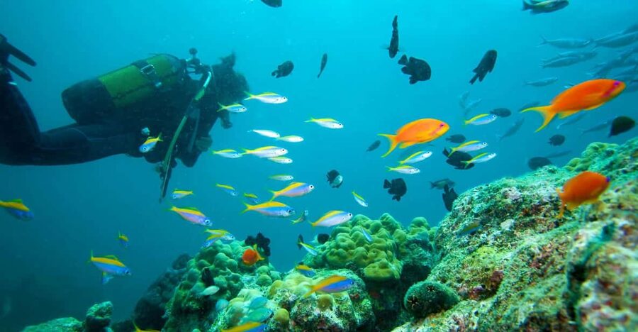 Marmaris: Scuba Diving with a Qualified Instructor - The instructors make the biggest difference