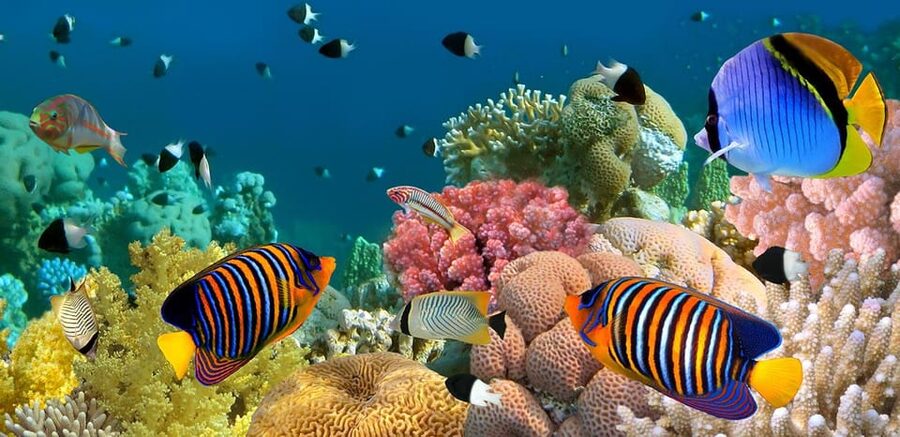 Marmaris: Scuba Diving with a Qualified Instructor - What the boat day feels like
