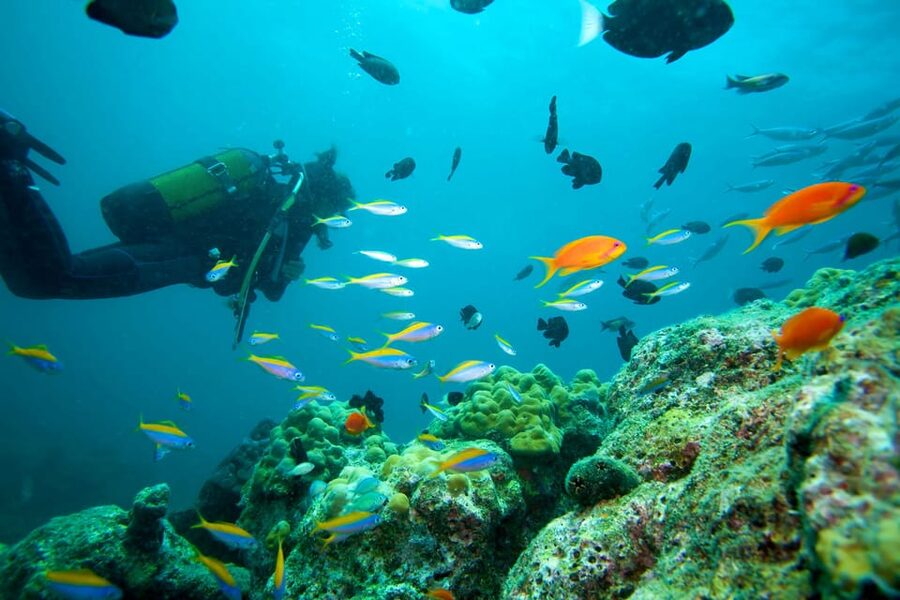 Marmaris: Scuba Diving with a Qualified Instructor - Why Marmaris works well for a first underwater session