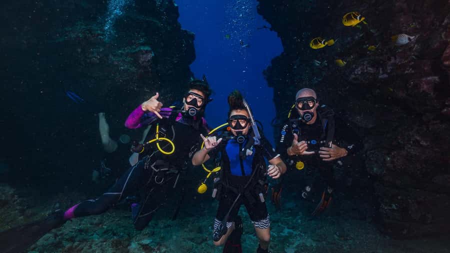 Maui: Intro to Scuba Diving from Shore - Lahaina - Why the small group matters for beginners