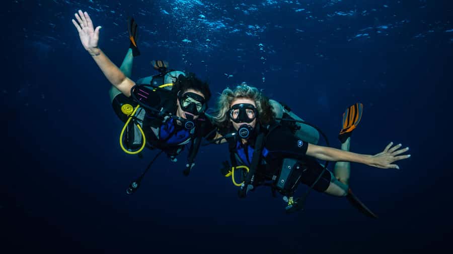Maui: Intro to Scuba Diving from Shore - Lahaina - Marine life without promising too much