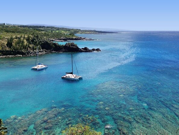 Maui Scuba Diving Introductory Lesson from Lahaina - Key points to know before booking