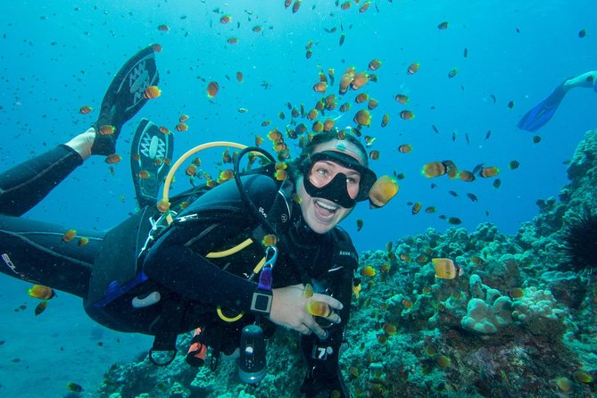 Maui Scuba Diving Introductory Lesson from Lahaina - Start at Extended Horizons in Lahaina