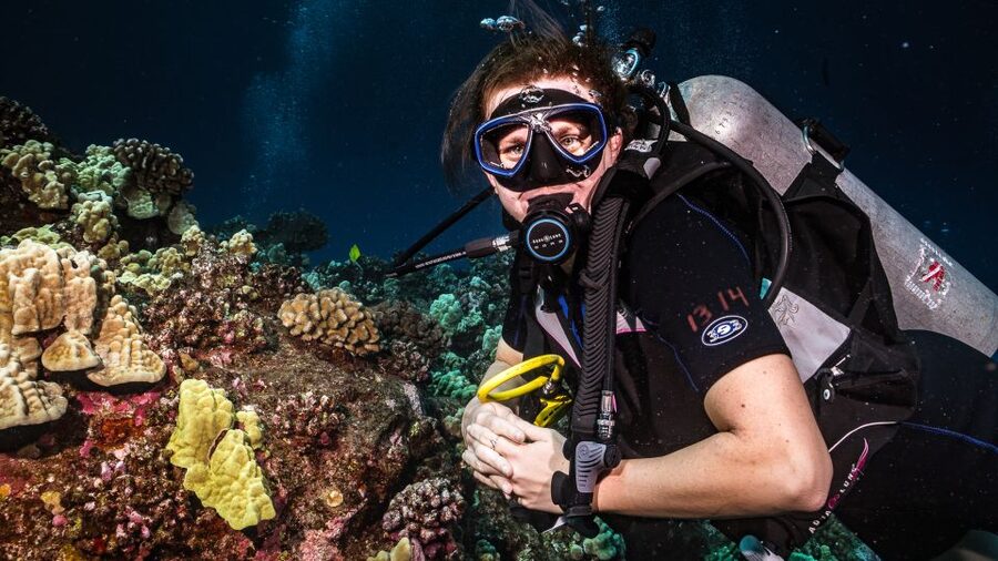 Maui: Small Group Shark & Turtle Scuba Dive from Shore - Should you book the Mala Wharf shore experience?