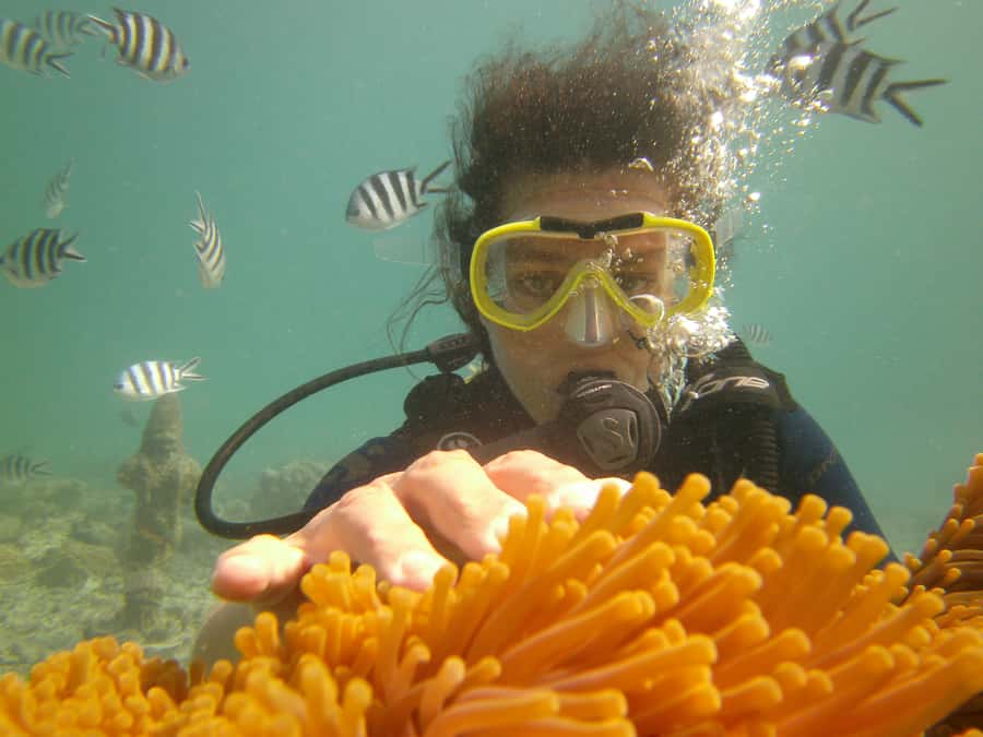 Mauritius: East Belle Mare Scuba Diving Tour - Key points for your Belle Mare booking