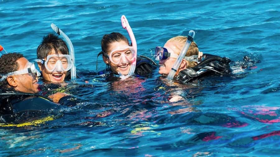 Mauritius: East Belle Mare Scuba Diving Tour - Exploring Mauritius’ East Coast underwater