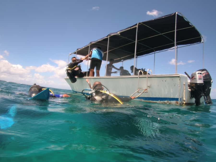Mauritius: East Belle Mare Scuba Diving Tour - Equipment, comfort, and the practical side