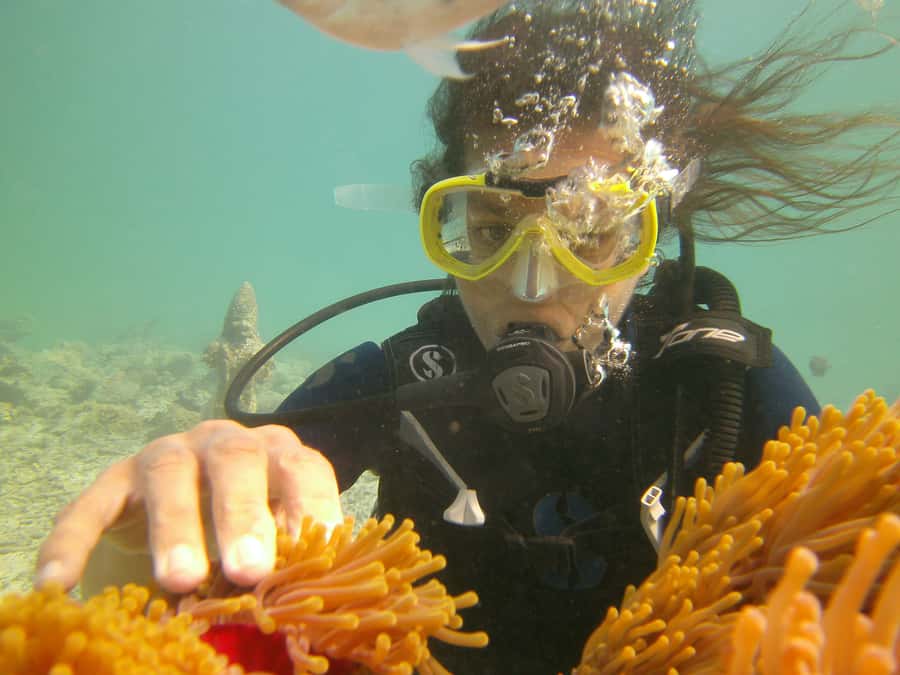 Mauritius: East Belle Mare Scuba Diving Tour - Hotel pickup and the transfer question