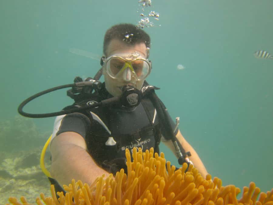 Mauritius: East Belle Mare Scuba Diving Tour - Weather, confidence, and realistic expectations