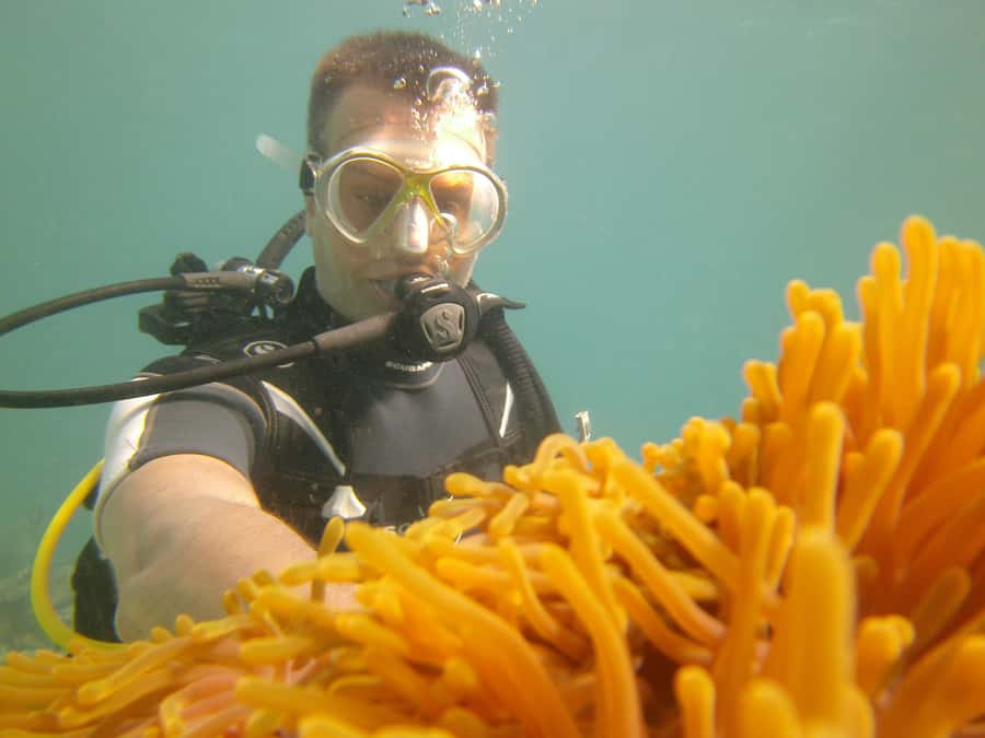 Mauritius: East Belle Mare Scuba Diving Tour - Who should book this activity?