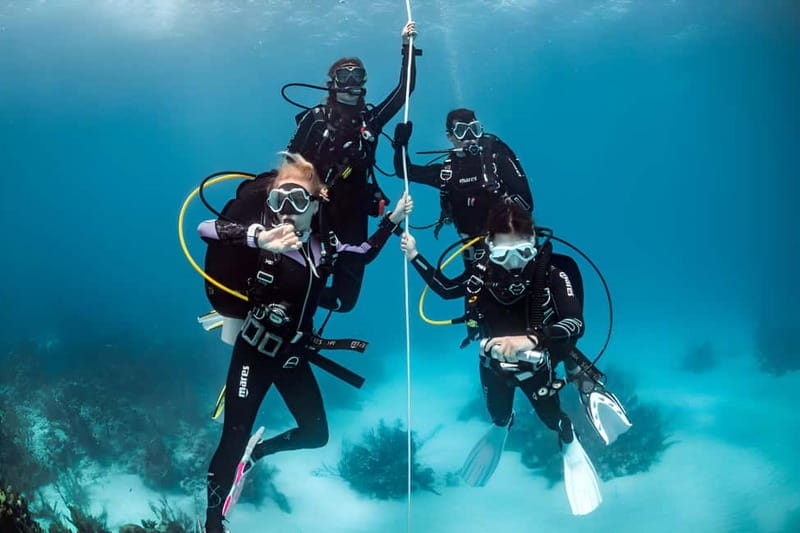 Mellieha: Introductory Diving Session in the Open Sea - Key points to know before booking