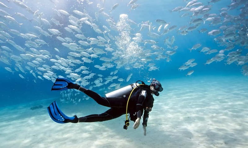 Mellieha: Introductory Diving Session in the Open Sea - Your first steps beneath the Mediterranean