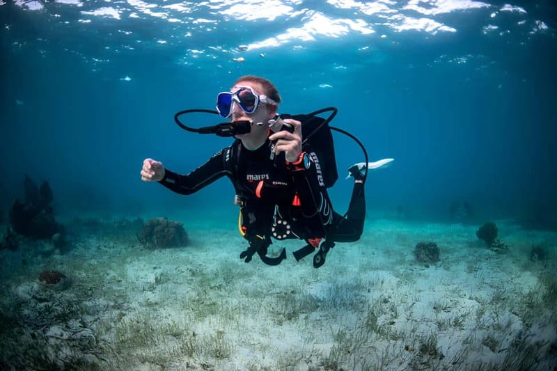 Mellieha: Introductory Diving Session in the Open Sea - What the strong ratings tell you