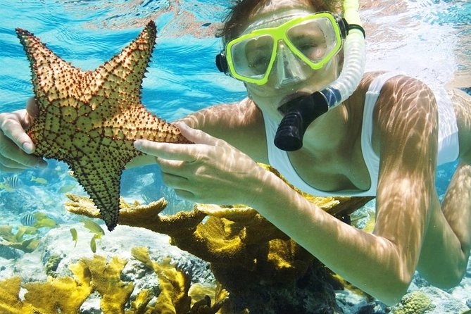 Menjangan Island Bali Diving Activity - What the $176 Price Really Covers