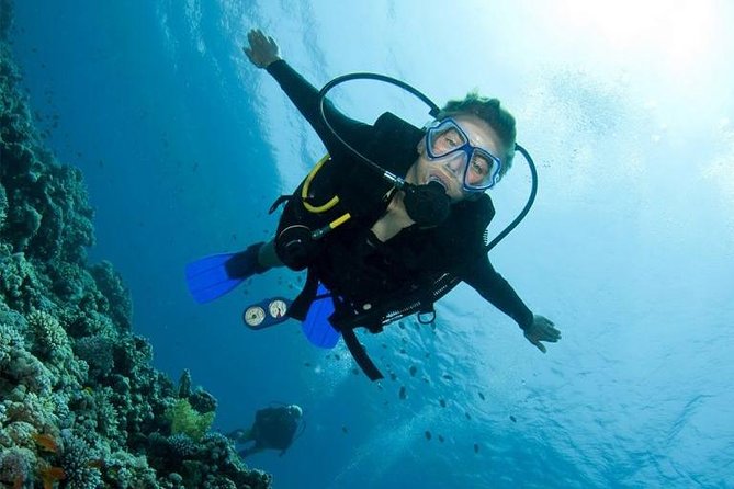 Menjangan Island Bali Diving Activity - What You See Along the Coral Walls