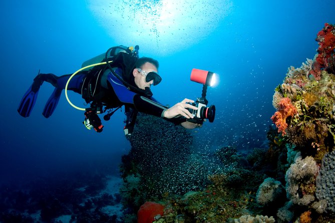 Menjangan island for Certified Scuba Divers full day boat trip, 2 dives + lunch - What to expect from Biorock Pemuteran
