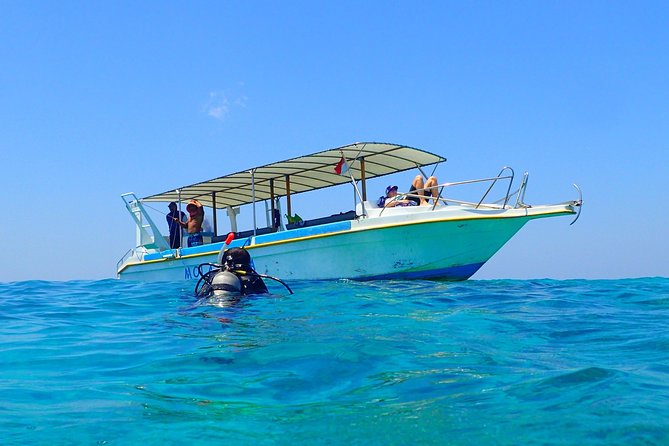 Menjangan island for Certified Scuba Divers full day boat trip, 2 dives + lunch - Leaving Pemuteran for the national park