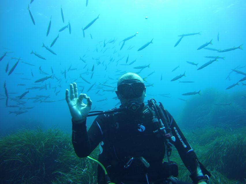 Menorca: Baptism Scuba Diving in Marine Reserve - Key points to know before booking