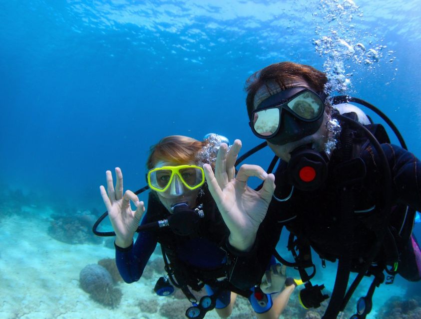 Menorca: Baptism Scuba Diving in Marine Reserve - Starting at Blue Dive Menorca