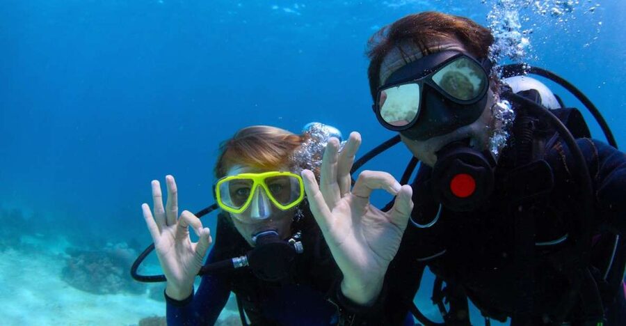 Menorca: Baptism Scuba Diving in Marine Reserve - What you can see in Menorca’s marine reserve