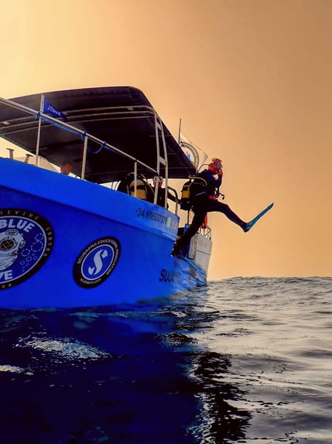 Menorca: Baptism Scuba Diving in Marine Reserve - Underwater photos and what you will not receive