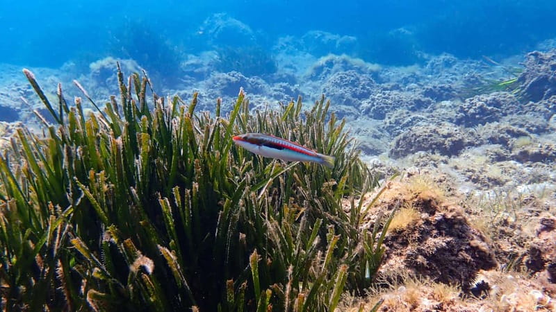 Menorca: Cala Galdana Try Scuba Diving for Beginners - The briefing and equipment lesson