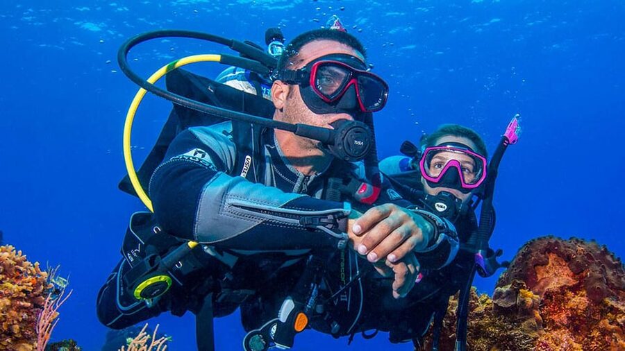 Miami Beach: Guided 2-Tank Reef and Wreck Dive Trip - The real price after equipment rental