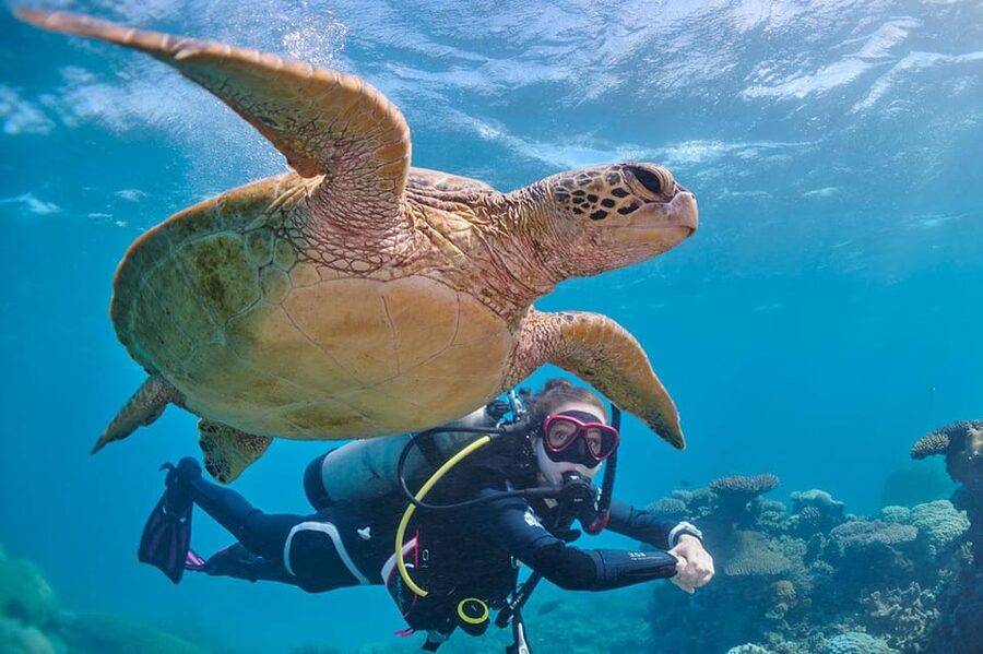 Miami Beach: Guided 2-Tank Reef and Wreck Dive Trip - Check-in tips that can save time