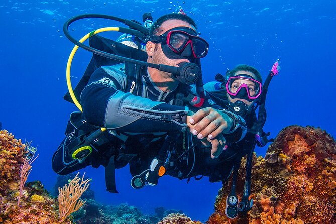 Miami Guided 2-Tank Scuba Diving: South Florida’s Reefs & Wrecks - Two Different Underwater Settings in One Morning
