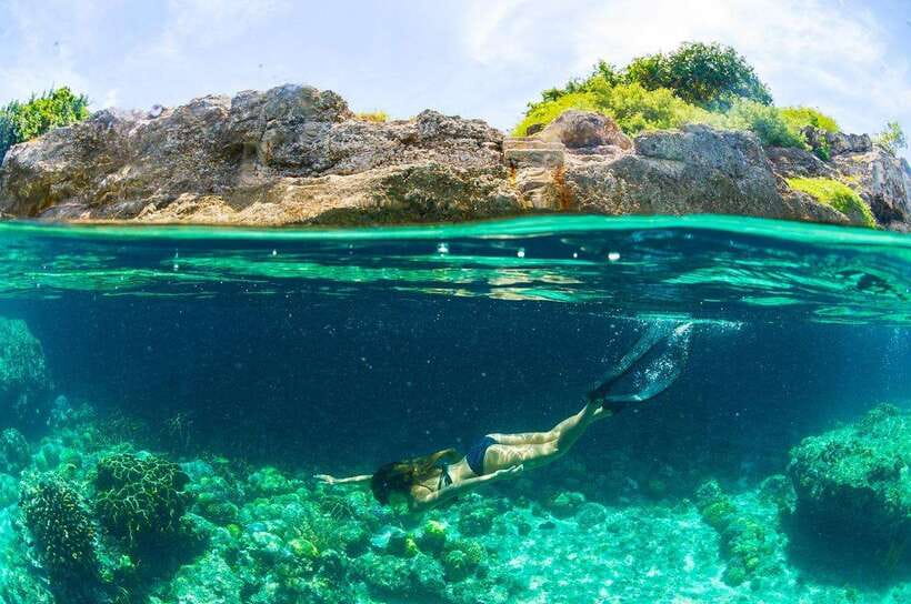 Moalboal: Scuba Diving and Pescador Island Hopping - Transfers are useful, but confirm the pickup