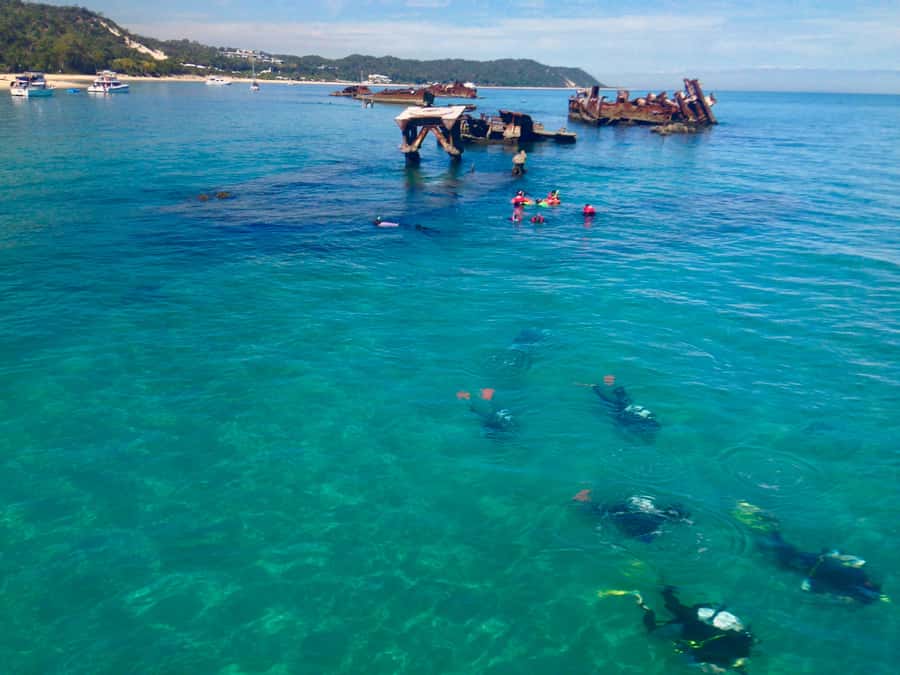 Moreton Island Day-Trip to Scuba Dive and More - Why the Tangalooma Wrecks make this day special