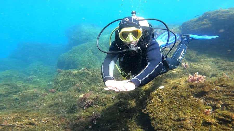 Morocco: PADI Discover Scuba Diving Dive - What you may see below the surface