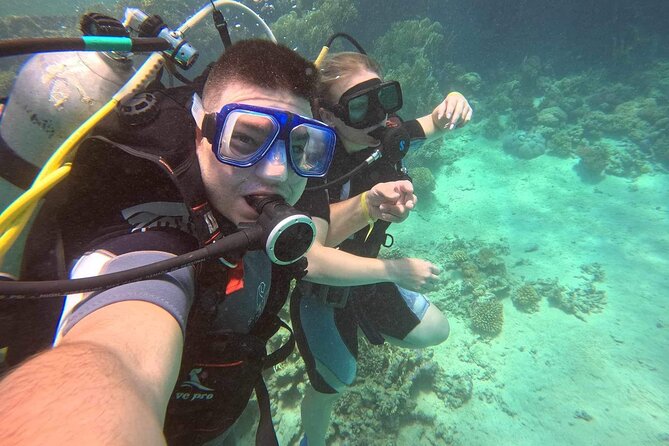 Moving Underwater 2 professional diving with lunch - The surface interval and boat lunch