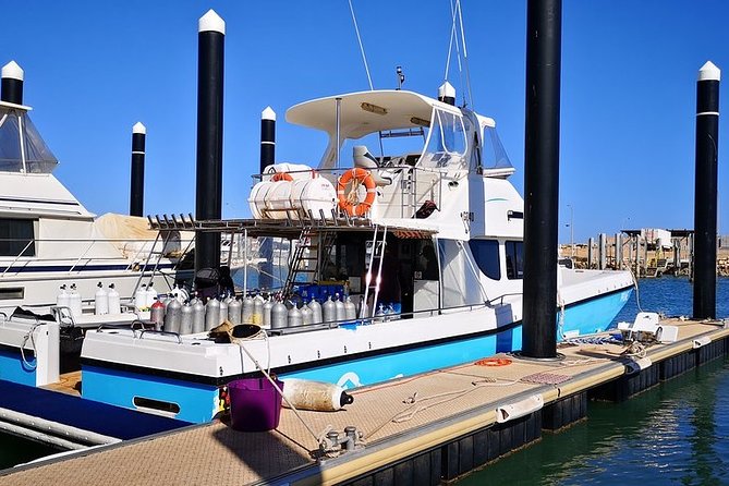 Muiron Island Diving Tour - Two underwater sites, two different chances to see marine life