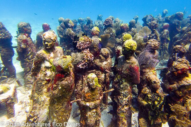 MUSA Museum and Colorful Reef 2 Tank Dive-Certified Divers - What the $100 price covers, and what it does not