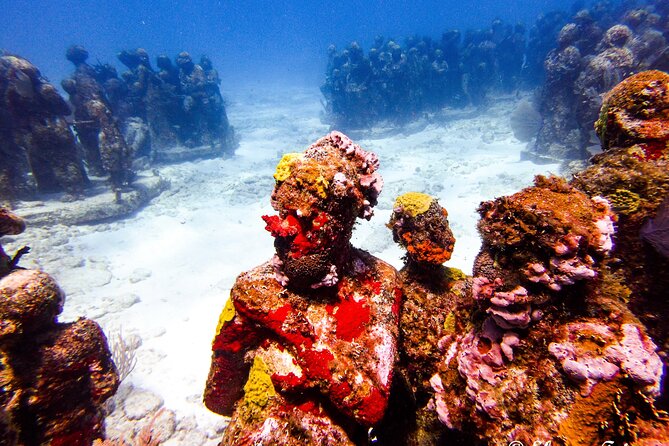 MUSA Museum and Colorful Reef 2 Tank Dive-Certified Divers - Group size, fitness, and certification