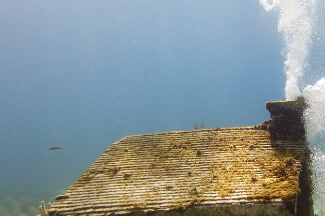 MUSA Museum and Colorful Reef 2 Tank Dive-Certified Divers - The practical rhythm of the four-and-a-half-hour outing