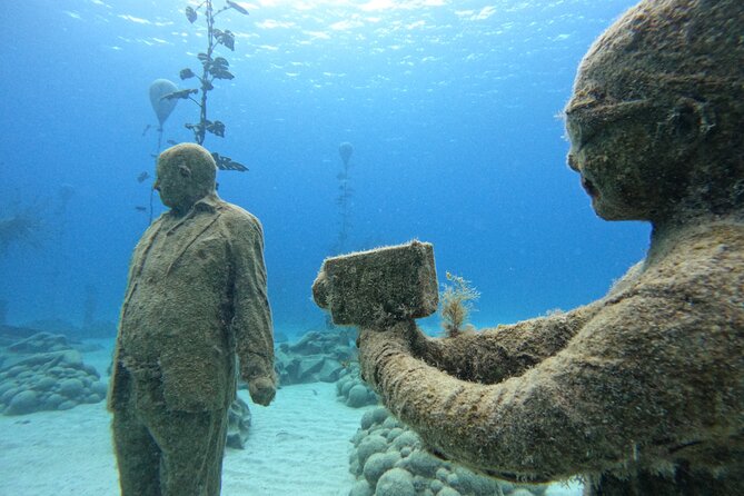 Musan Scuba Diving Private Adventure - Why MUSAN is more than a standard sea swim