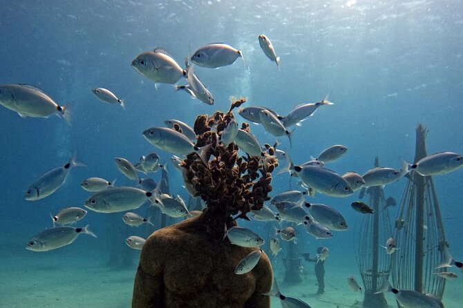 Musan Scuba Diving Private Adventure - Exploring the Museum of Underwater Sculpture
