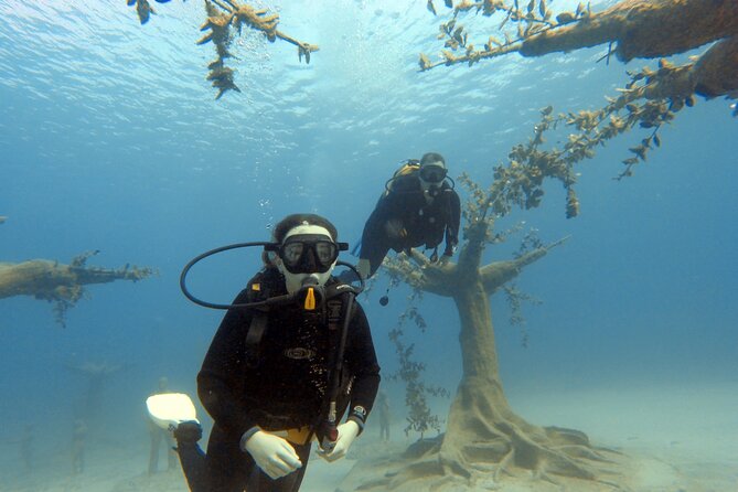 Musan Scuba Diving Private Adventure - Timing, meeting point, and what to bring