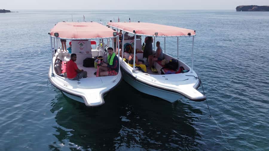 Muscat: Daymaniat Islands Scuba Diving for Beginners - Key points to know before you book