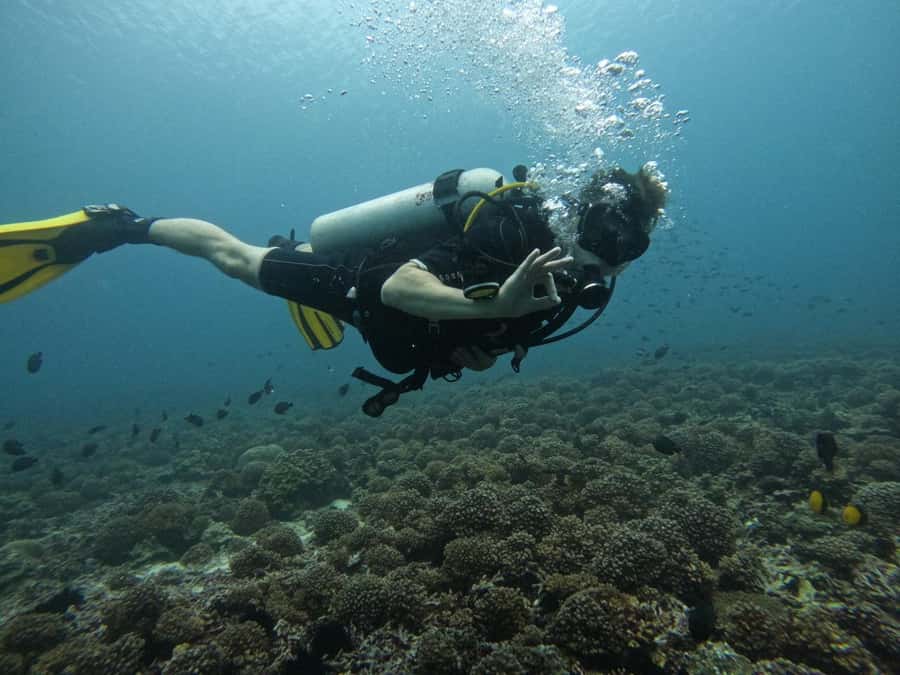 Muscat: Daymaniat Islands Scuba Diving for Beginners - Learning the basics before you enter the water