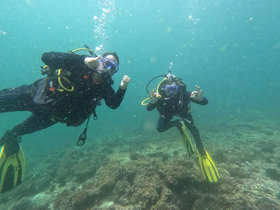 Muscat: Daymaniat Islands Scuba Diving for Beginners - Snorkeling adds a less demanding second look