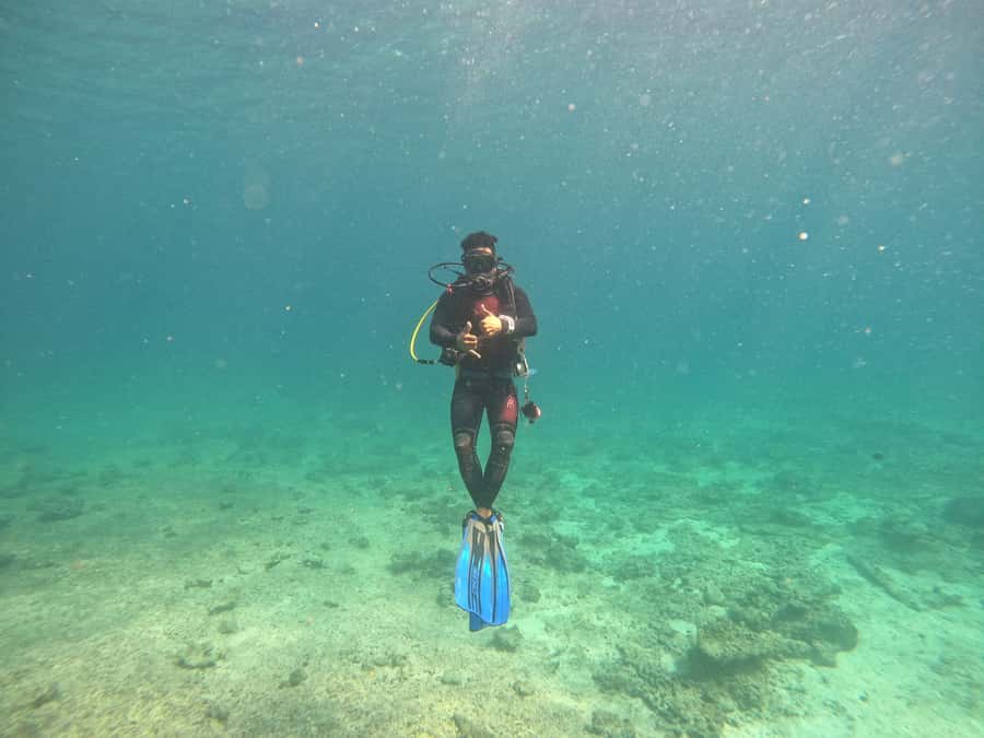 Muscat: Daymaniat Islands Scuba Diving for Beginners - Is $194 a fair price?