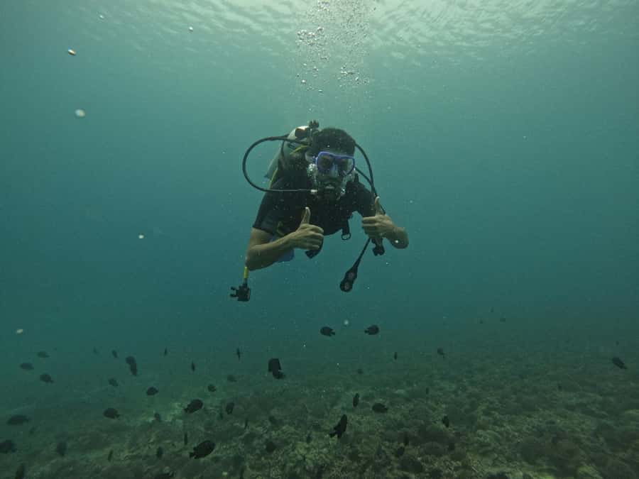 Muscat: Daymaniat Islands Scuba Diving for Beginners - Who should choose this experience?