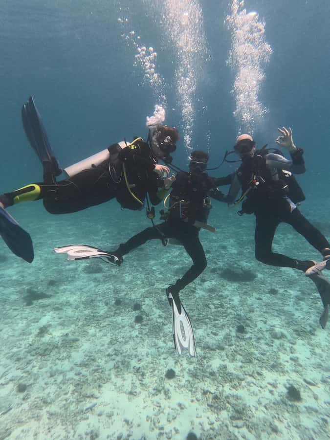 Muscat: Daymaniat Islands Try Scuba Diving - Marine life around the protected islands