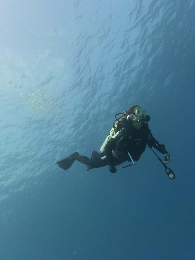 Muscat: Daymaniat Islands Try Scuba Diving - Who should book this experience
