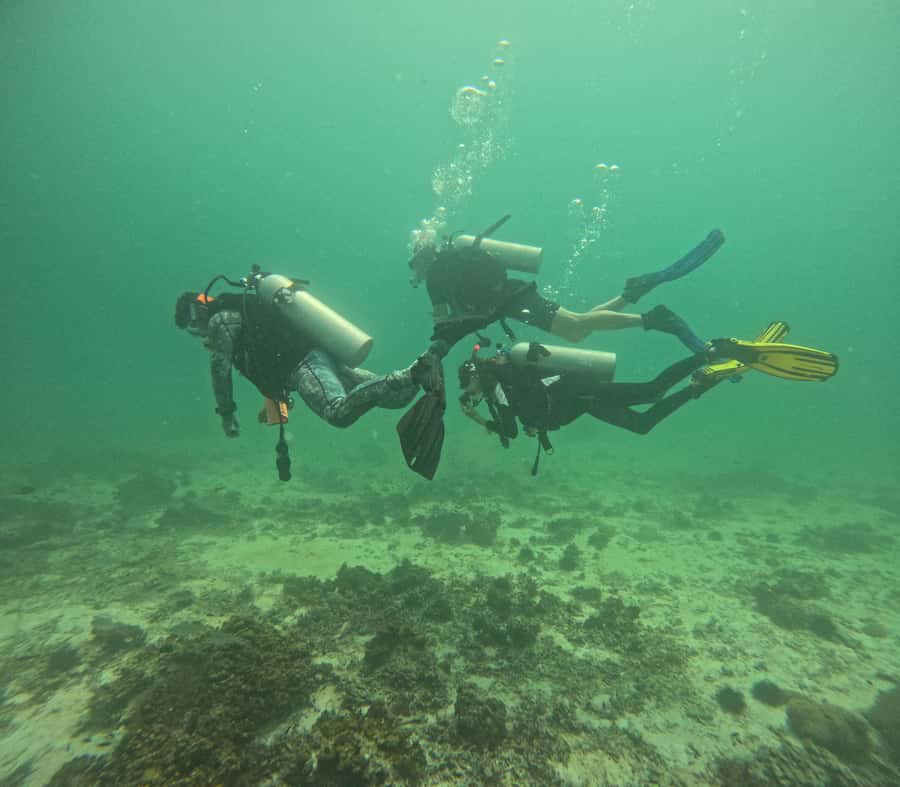 Muscat: Daymaniat Islands Try Scuba Diving - From Seeb Marina to the first underwater session