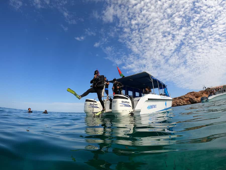 Muscat: Daymaniyat Island Scuba Dive 2 locations + BBQ Lunch - Why Daymaniyat works for an Oman sea day