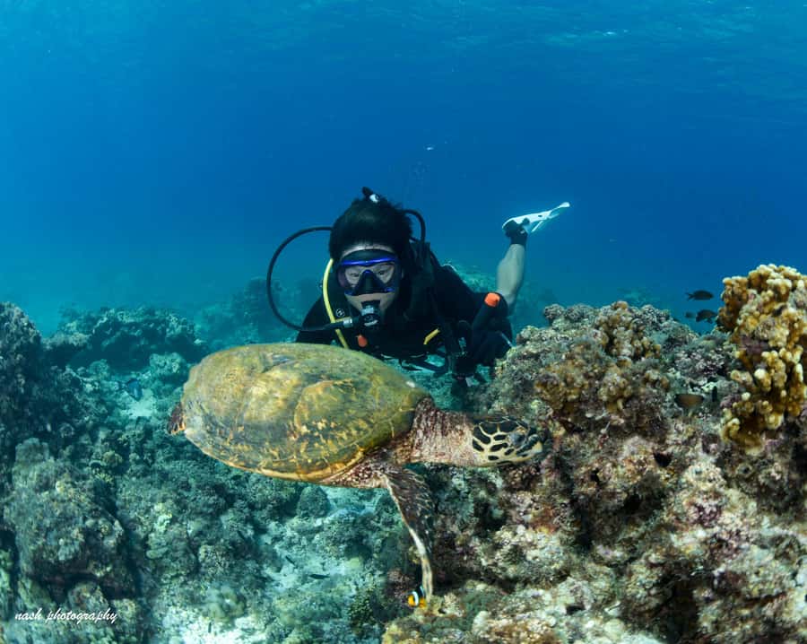 MUSCAT: Daymaniyat Island Snorkeling & Try-Dive + BBQ Lunch - The boat ride to the island sites
